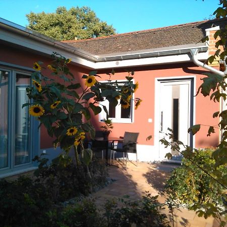 Kleines Feines Ferienhaus Im Herzen Von Dresden Apartment Ngoại thất bức ảnh