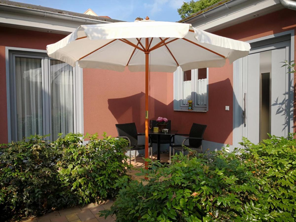 Kleines Feines Ferienhaus Im Herzen Von Dresden Apartment Ngoại thất bức ảnh