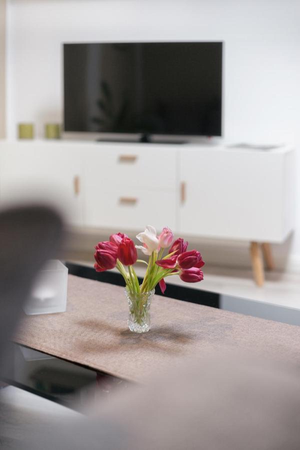 Kleines Feines Ferienhaus Im Herzen Von Dresden Apartment Ngoại thất bức ảnh