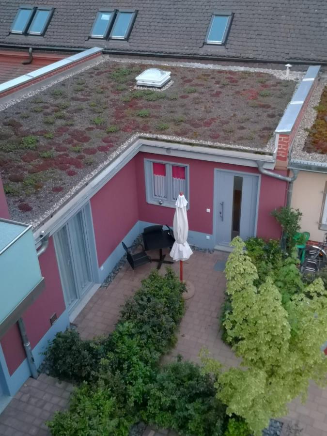 Kleines Feines Ferienhaus Im Herzen Von Dresden Apartment Ngoại thất bức ảnh