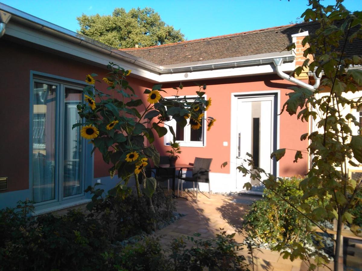Kleines Feines Ferienhaus Im Herzen Von Dresden Apartment Ngoại thất bức ảnh